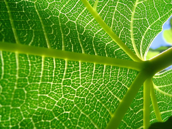 Коллекция лето - осень