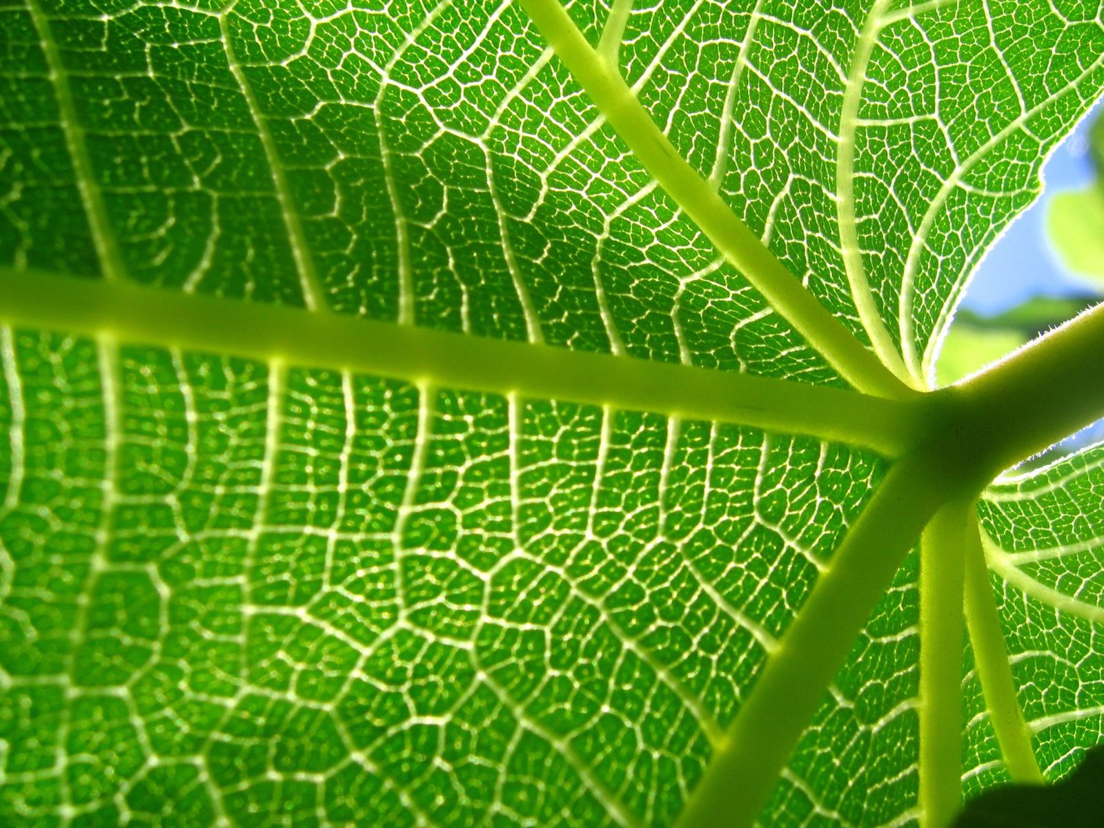 Коллекция лето - осень