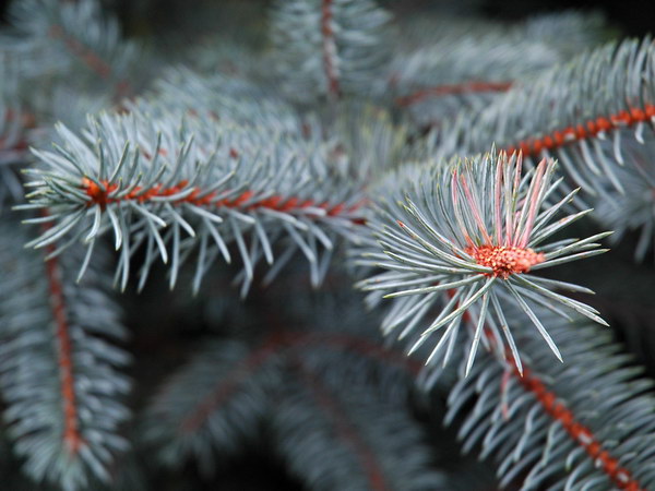 Коллекция лето - осень