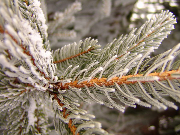 Коллекция лето - осень