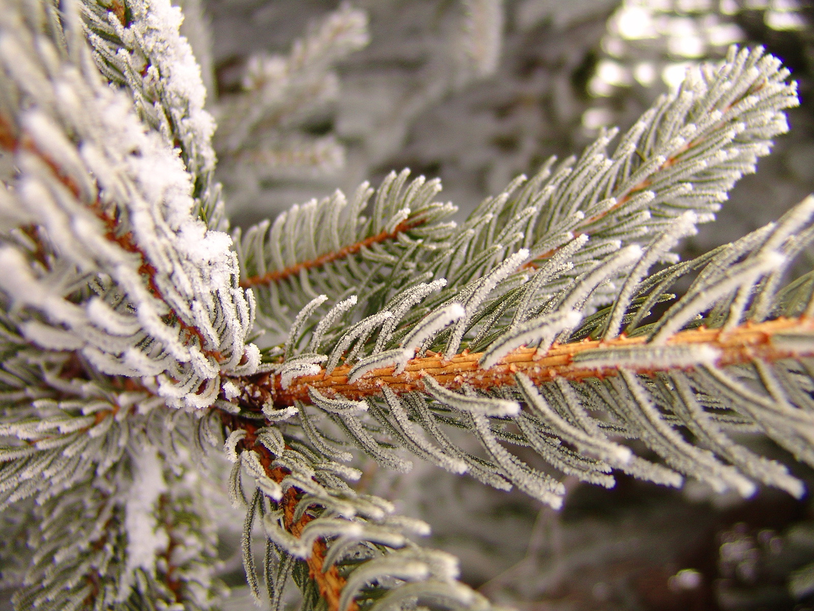 Коллекция лето - осень