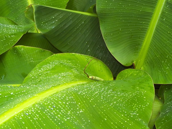 Коллекция лето - осень