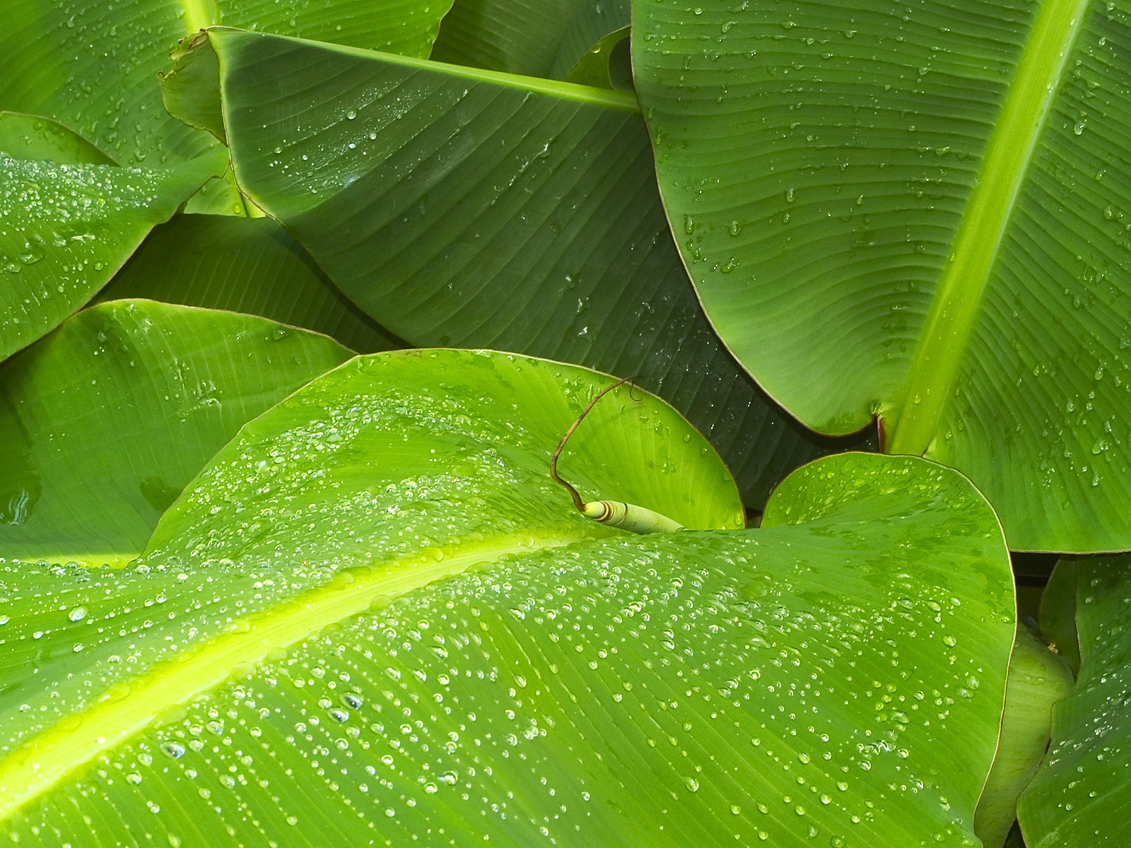 Коллекция лето - осень