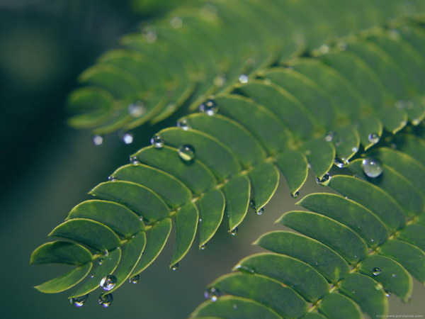 Коллекция лето - осень