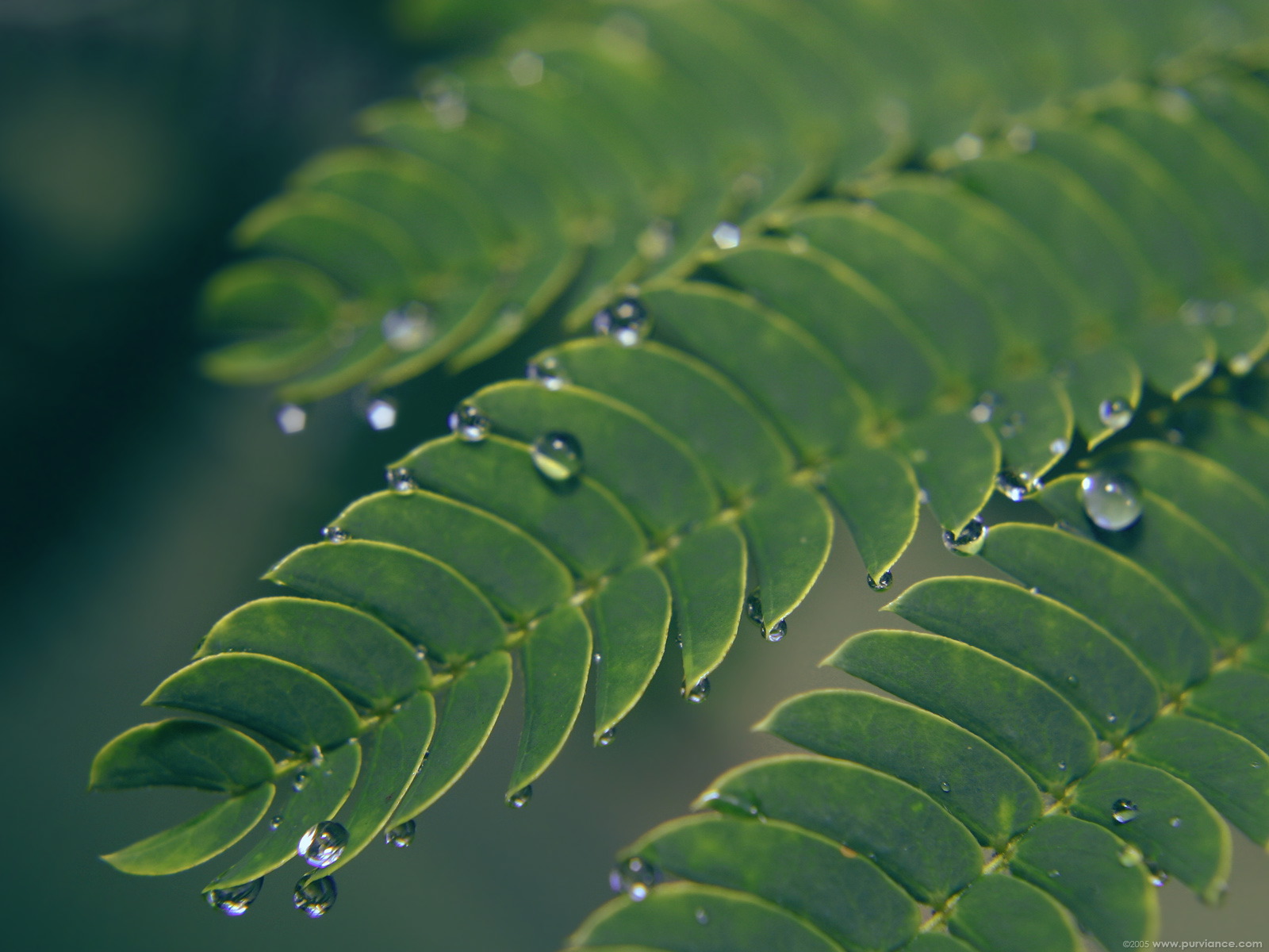 Коллекция лето - осень