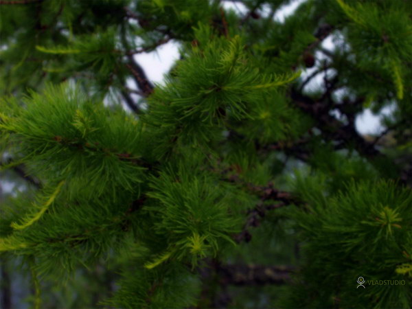 Подборка абстракций и не только