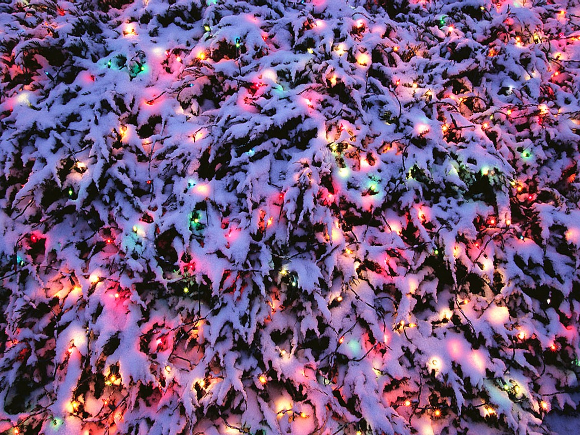 Новый год на носу. 2007.