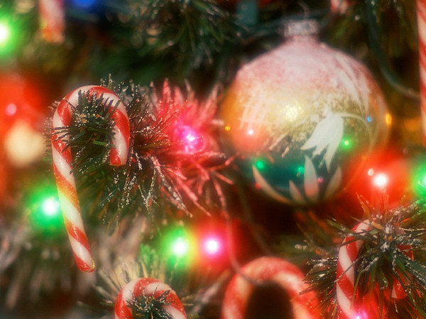 Новый год на носу. 2007.