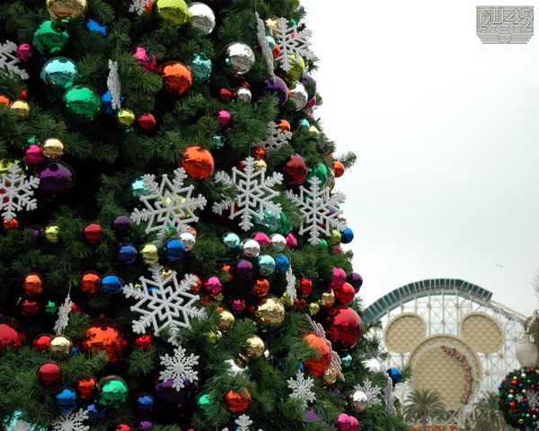 Новый год на носу. 2007.