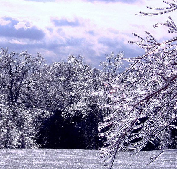 Зимние фотографии