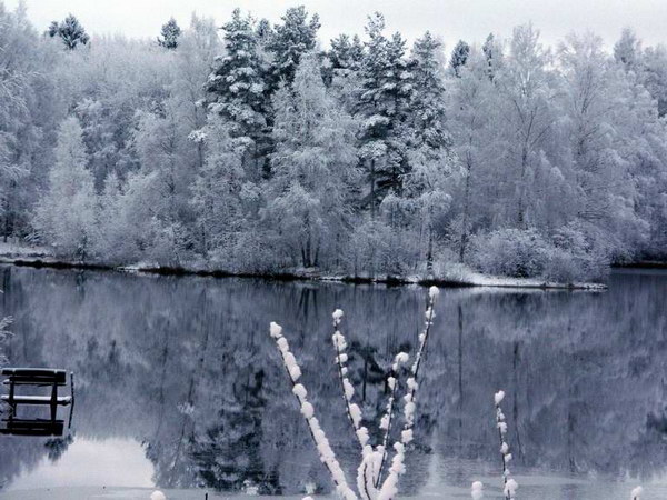 Зимние фотографии