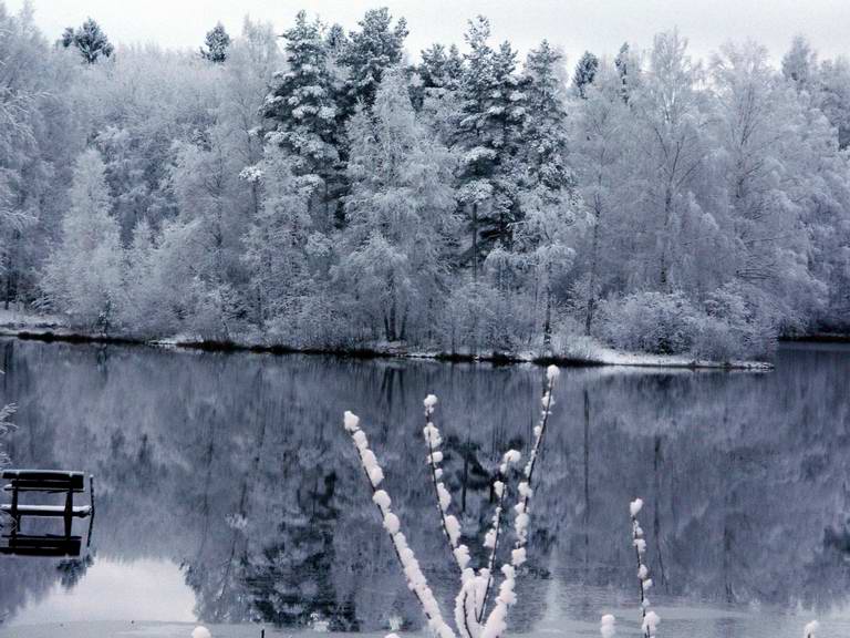 Зимние фотографии