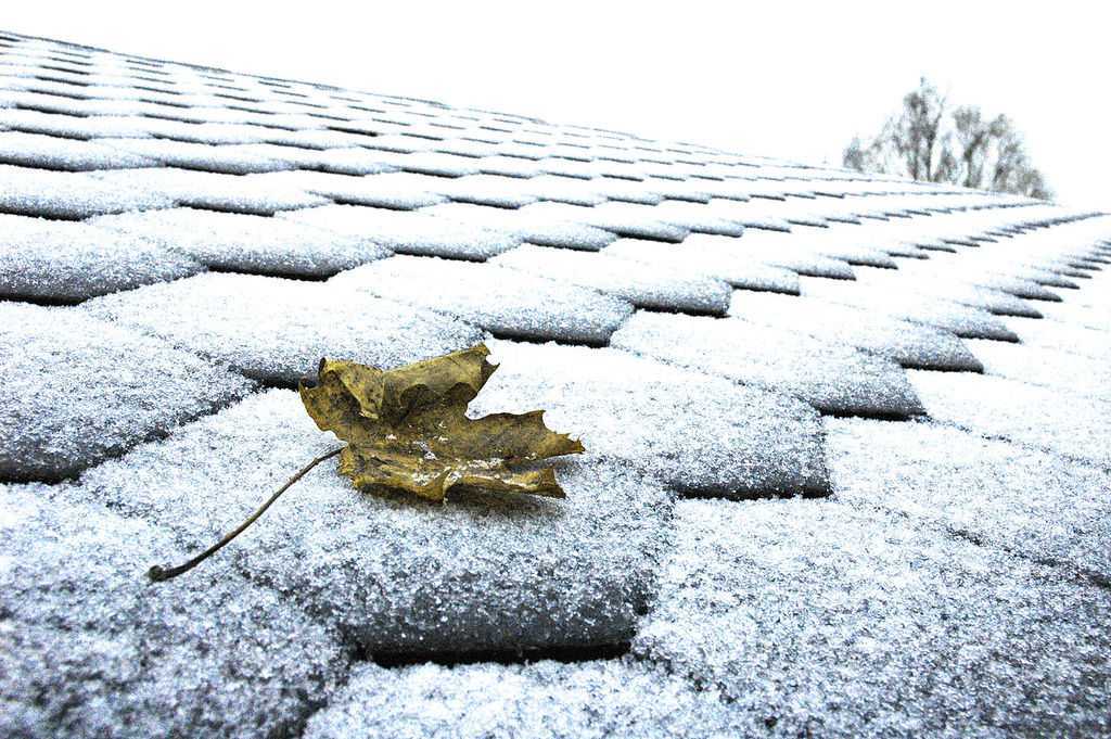 Зимние фотографии