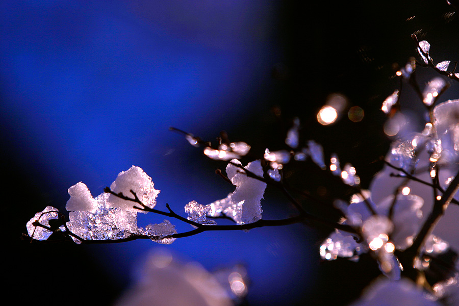 Зимние фотографии