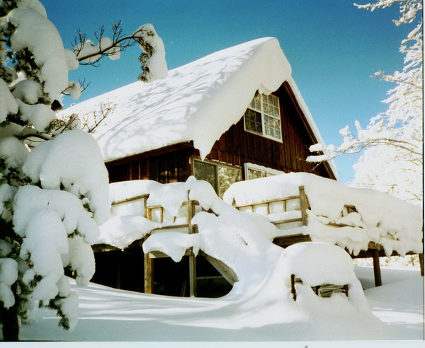 Зимние фотографии