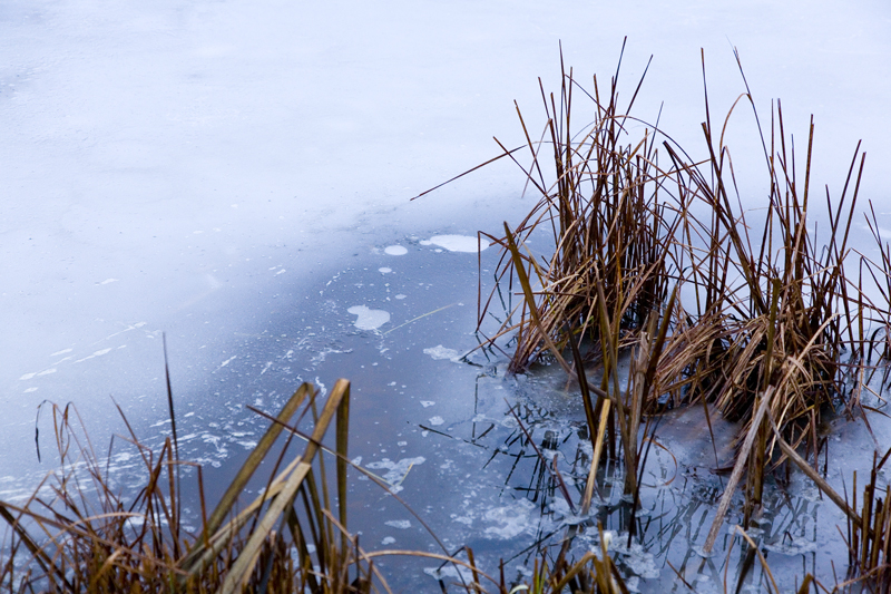 Зимние фотографии