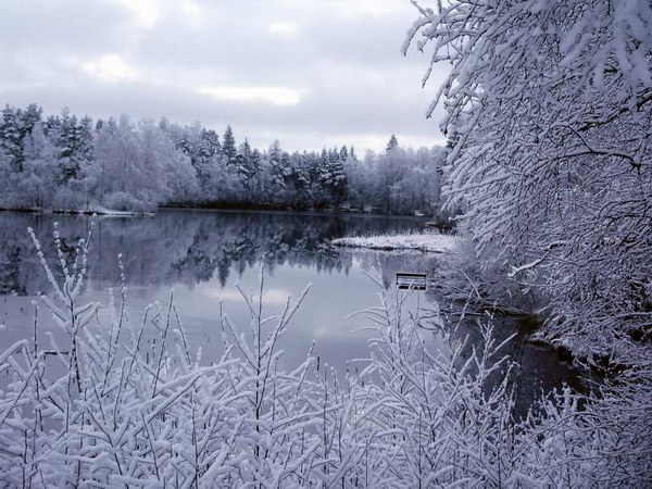 Зимние фотографии