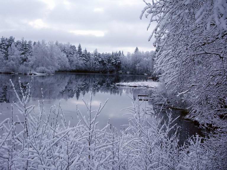 Зимние фотографии