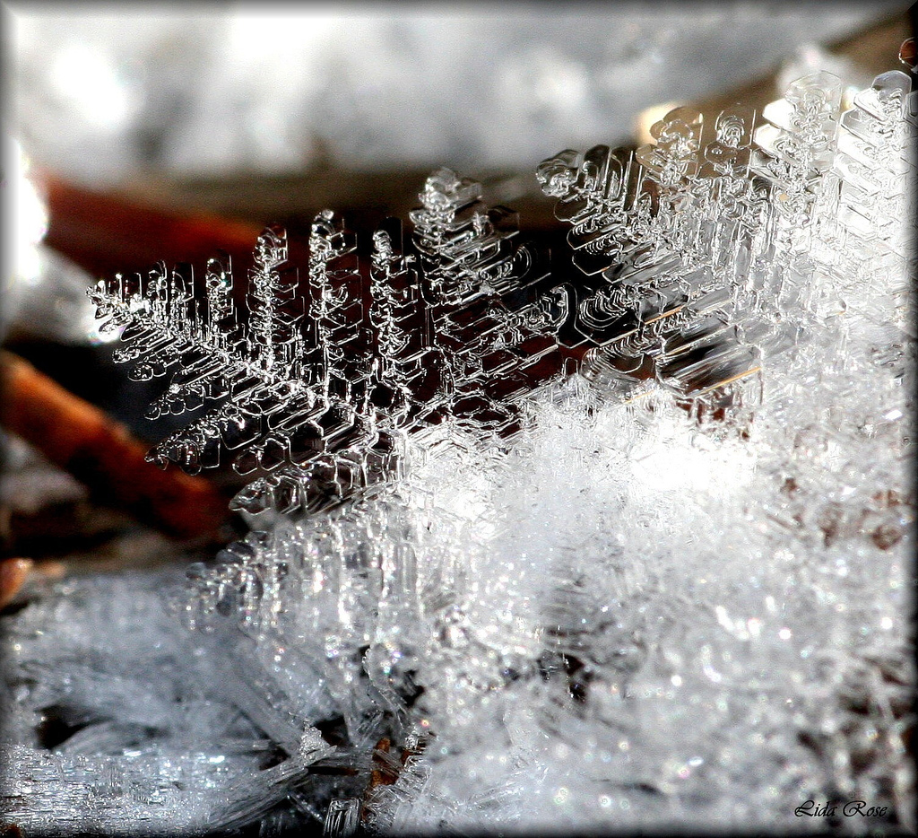 Зимние фотографии