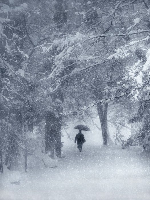 Зимние фотографии