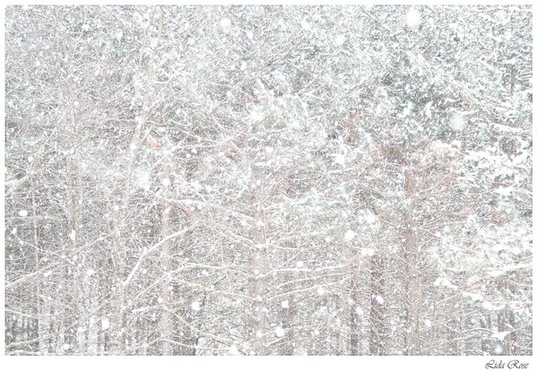 Зимние фотографии