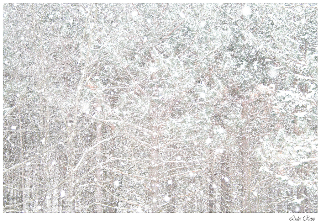 Зимние фотографии