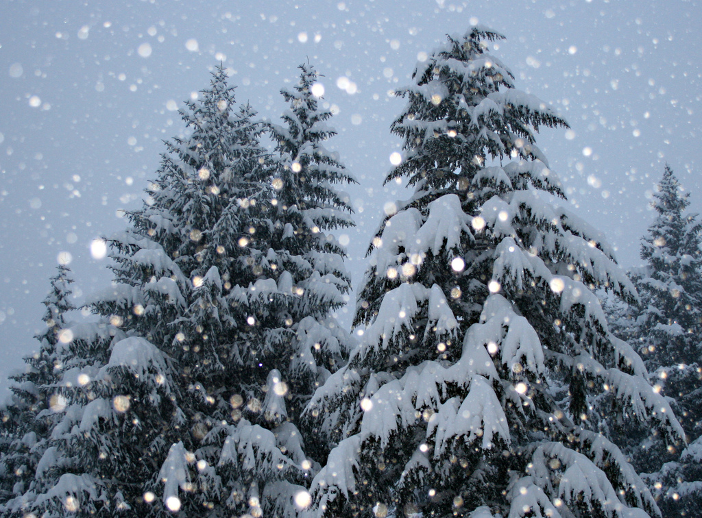 Новогодние обои