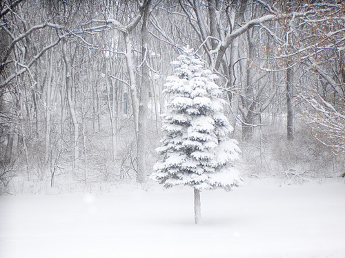 Новогодние обои