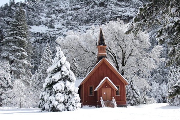 Новогодние обои
