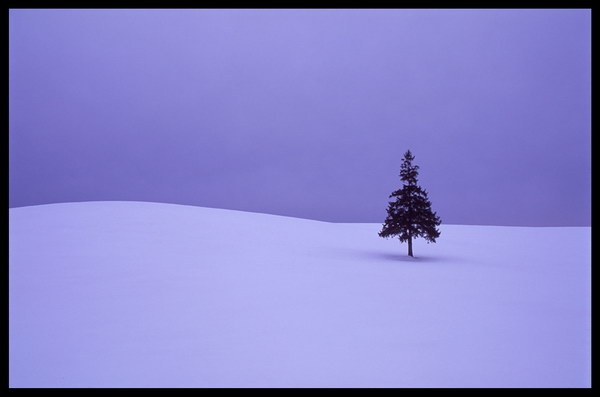 Новогодние обои