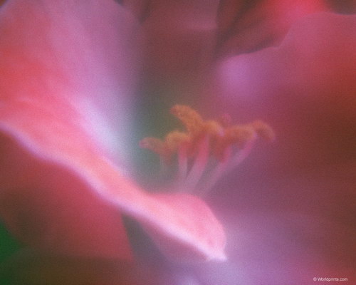 Готовимся к 8 марта