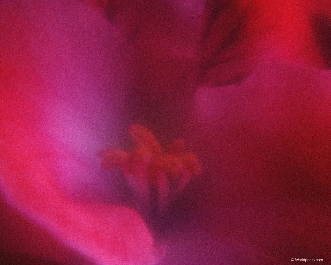 Готовимся к 8 марта