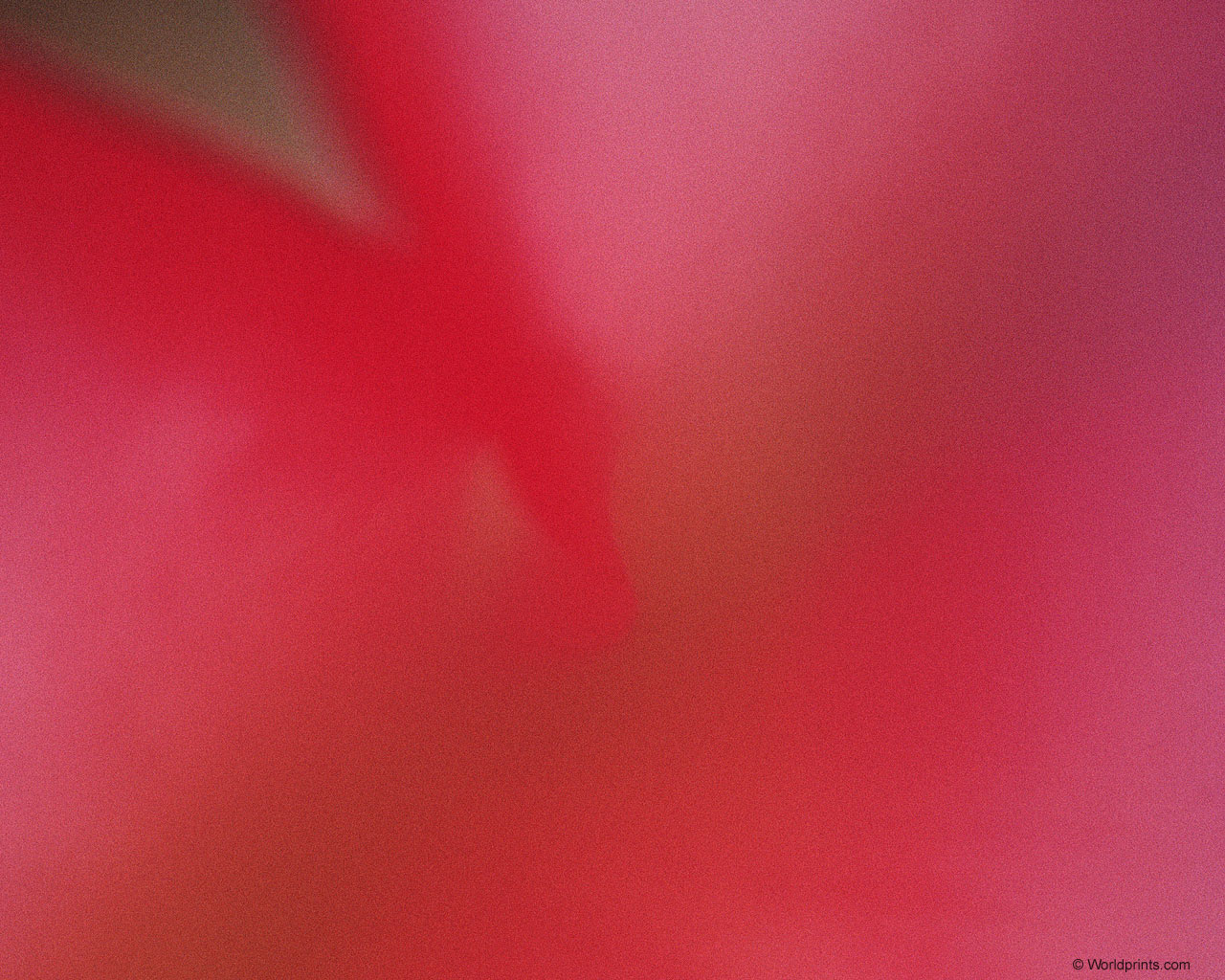 Готовимся к 8 марта