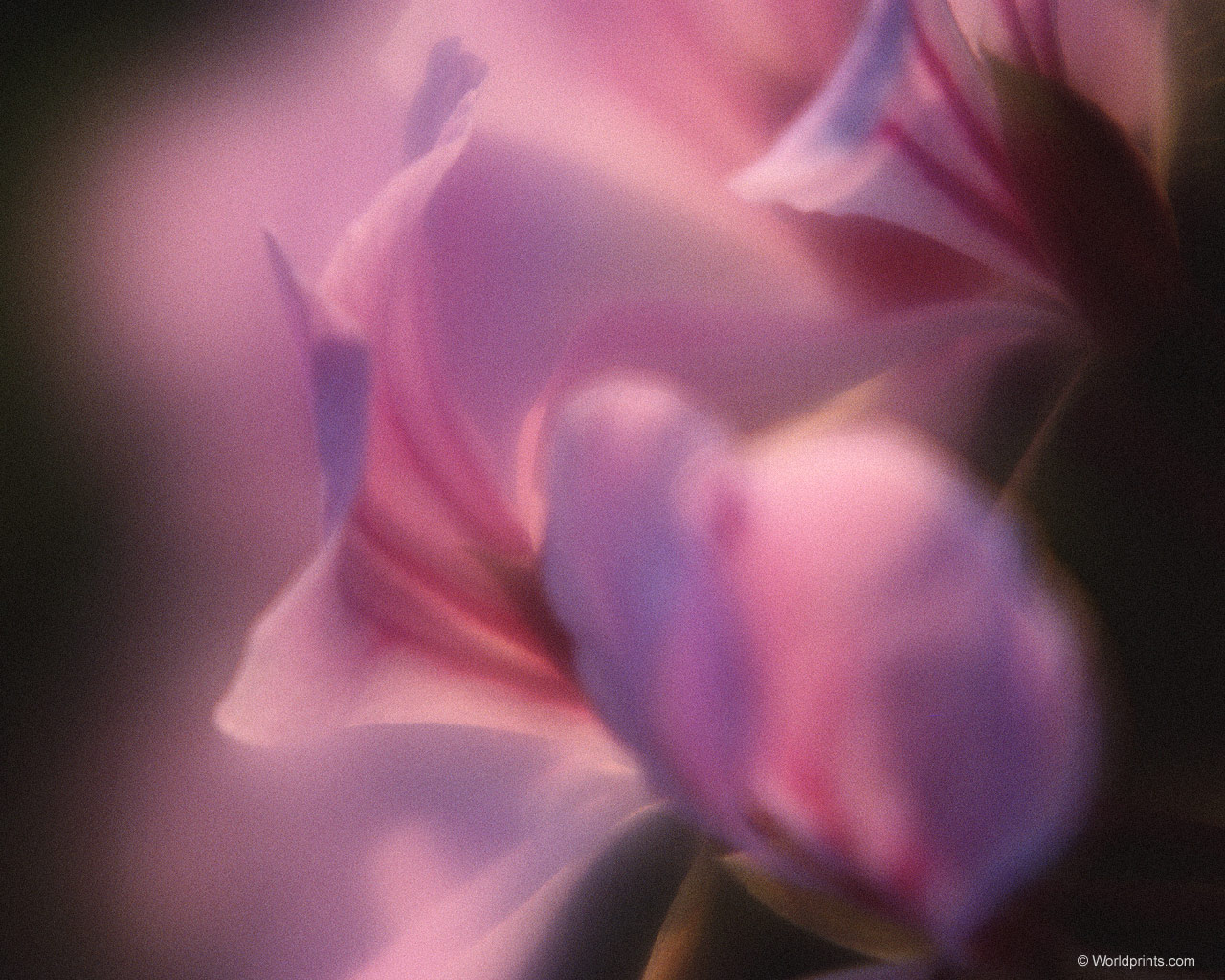 Готовимся к 8 марта