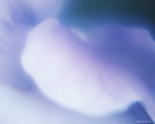 Готовимся к 8 марта