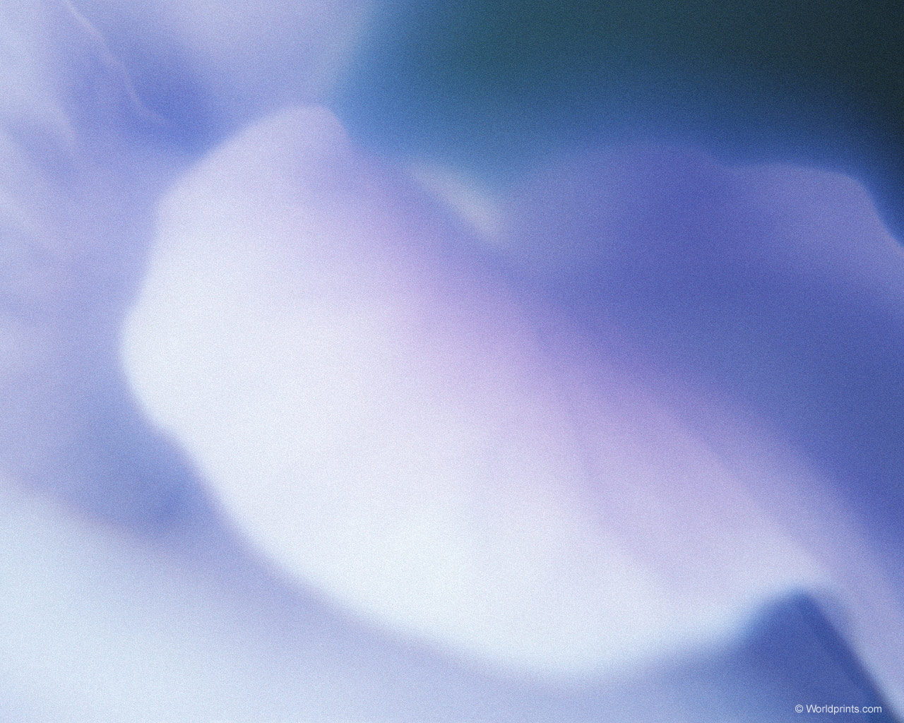 Готовимся к 8 марта