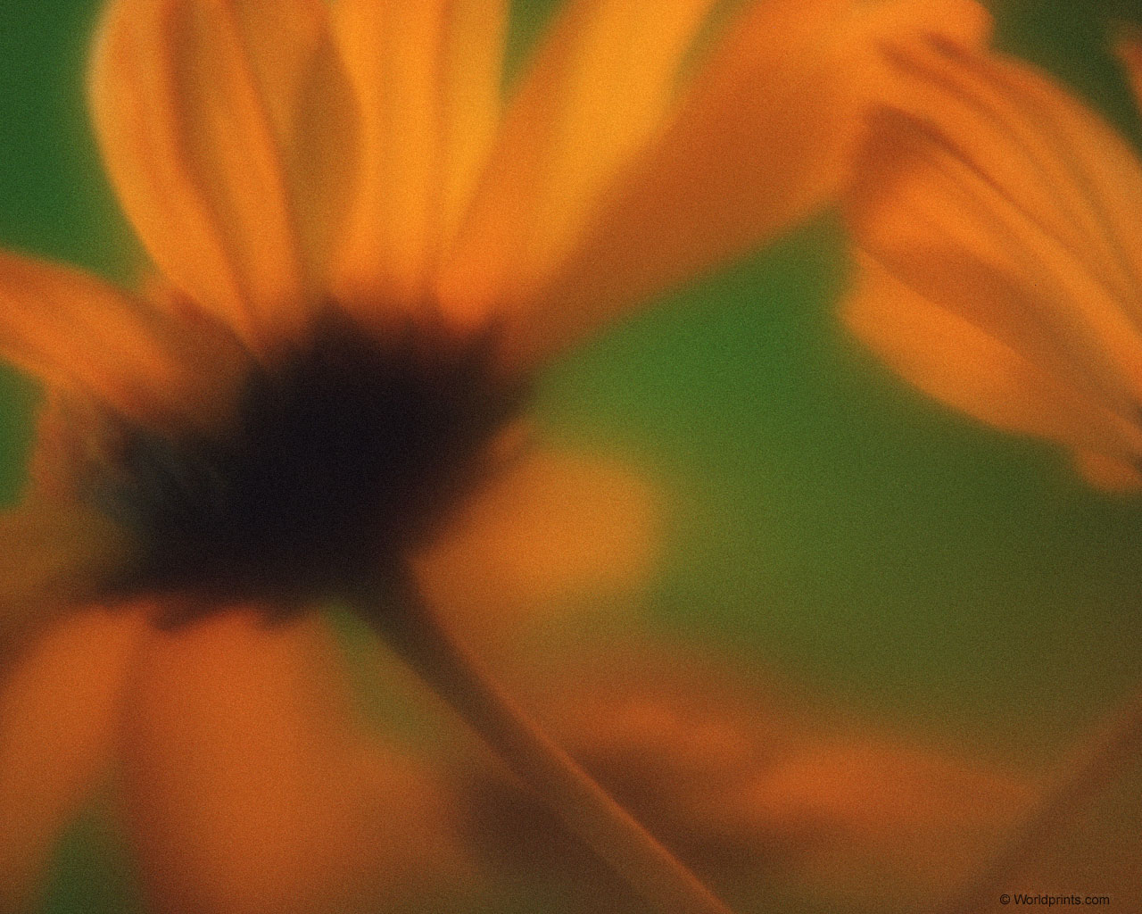 Готовимся к 8 марта