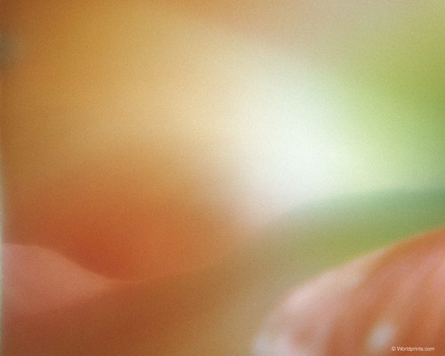 нежность в подарок к 8 марта