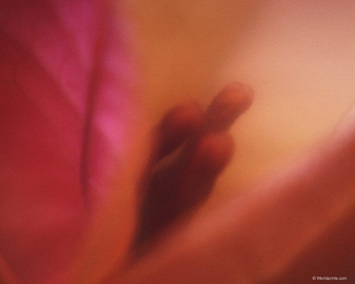 Готовимся к 8 марта