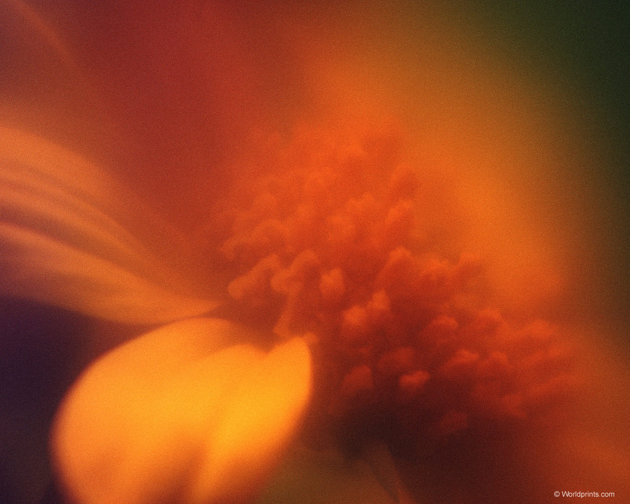 Готовимся к 8 марта