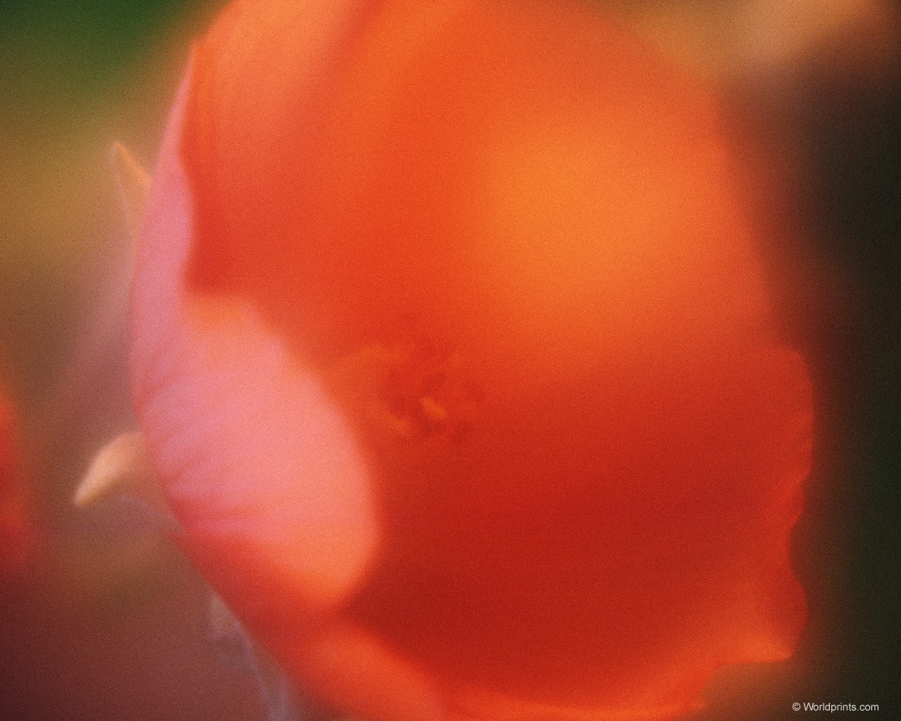 Готовимся к 8 марта