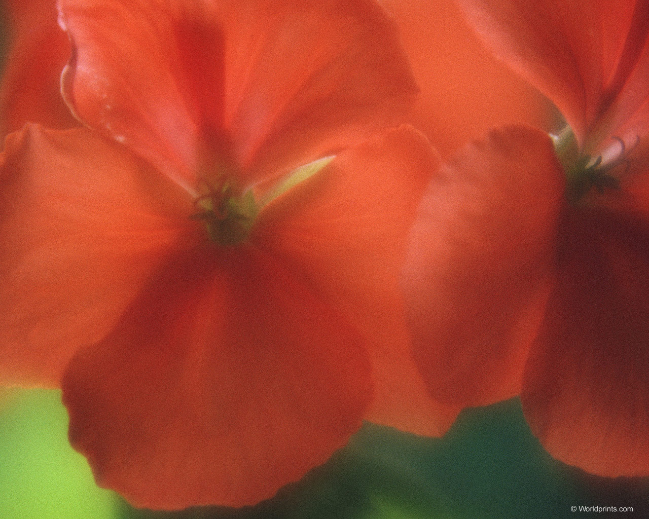 Готовимся к 8 марта