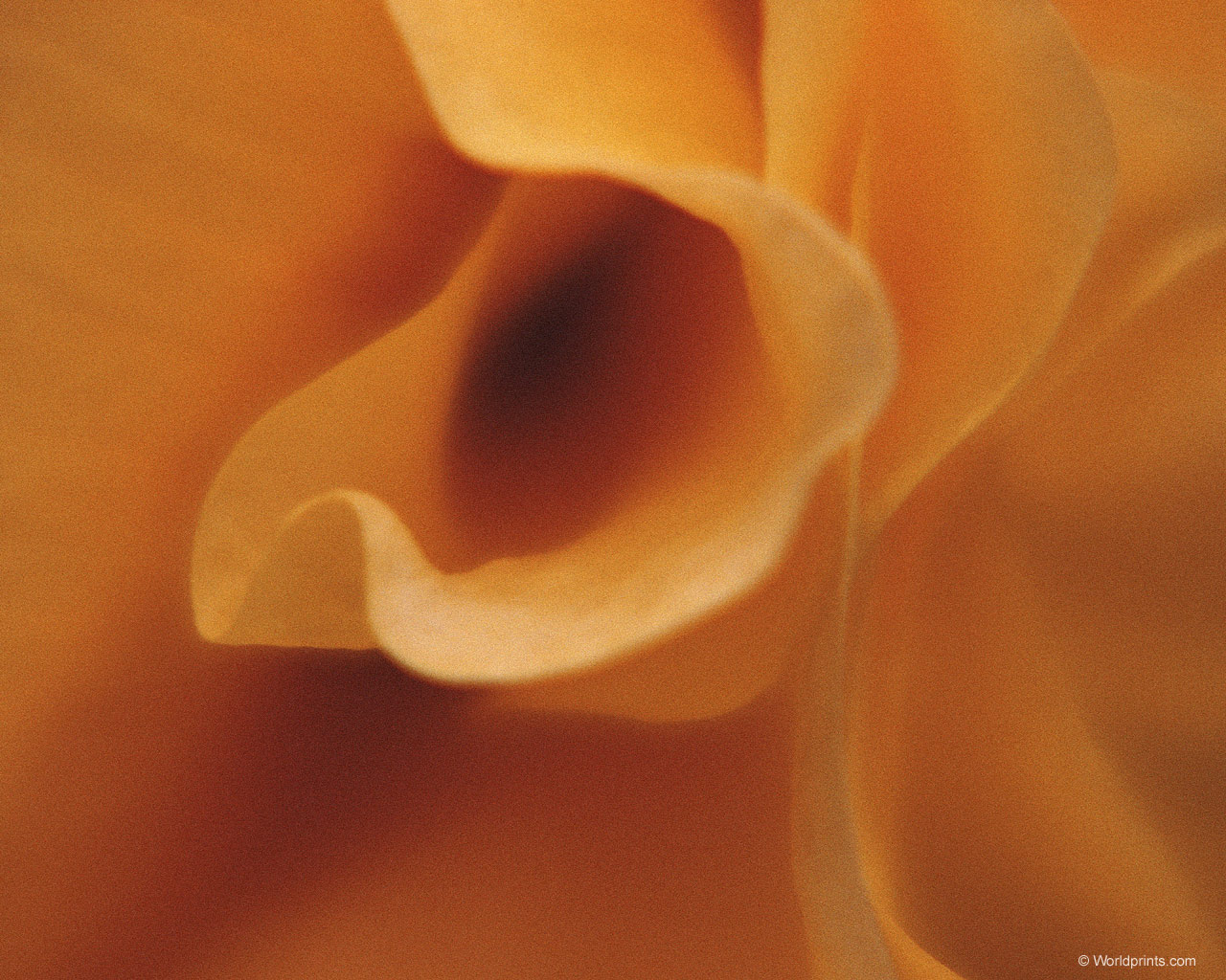 Готовимся к 8 марта