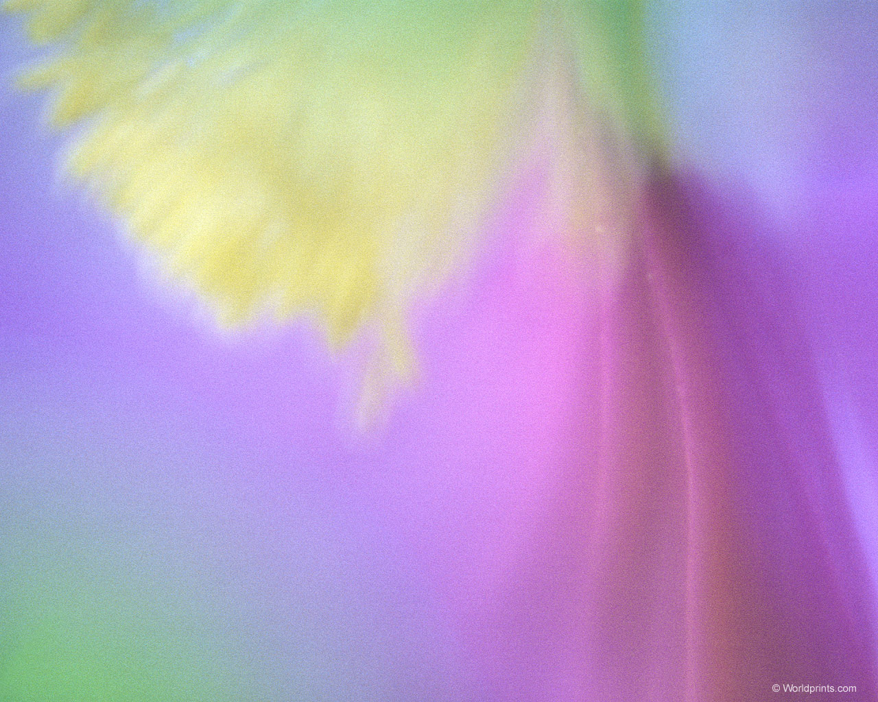 Готовимся к 8 марта