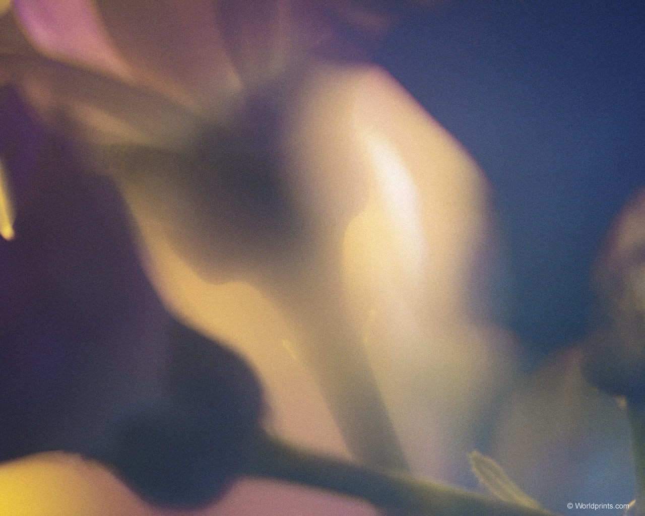 Готовимся к 8 марта