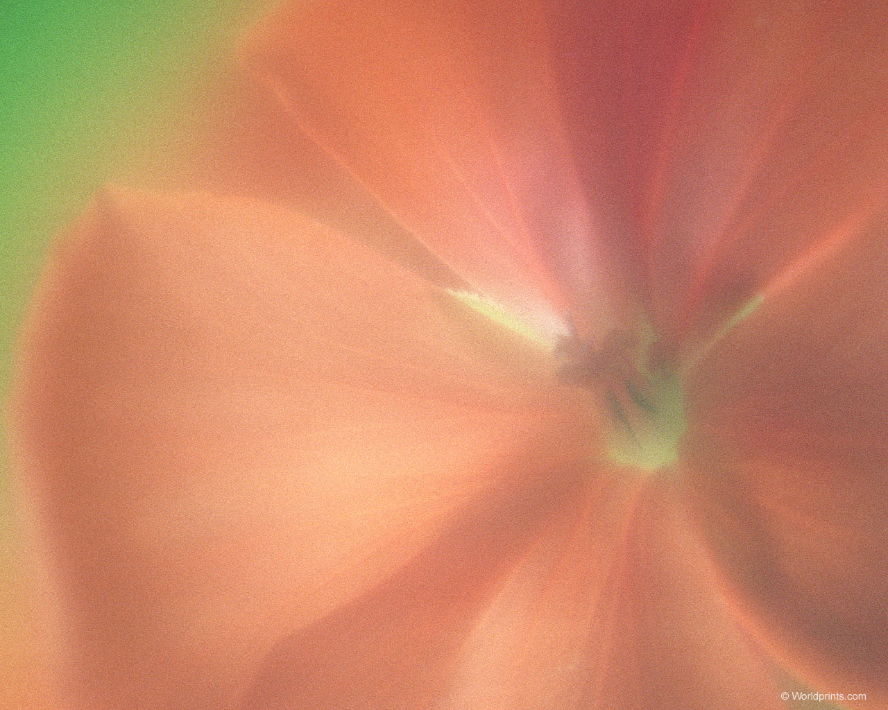 Готовимся к 8 марта