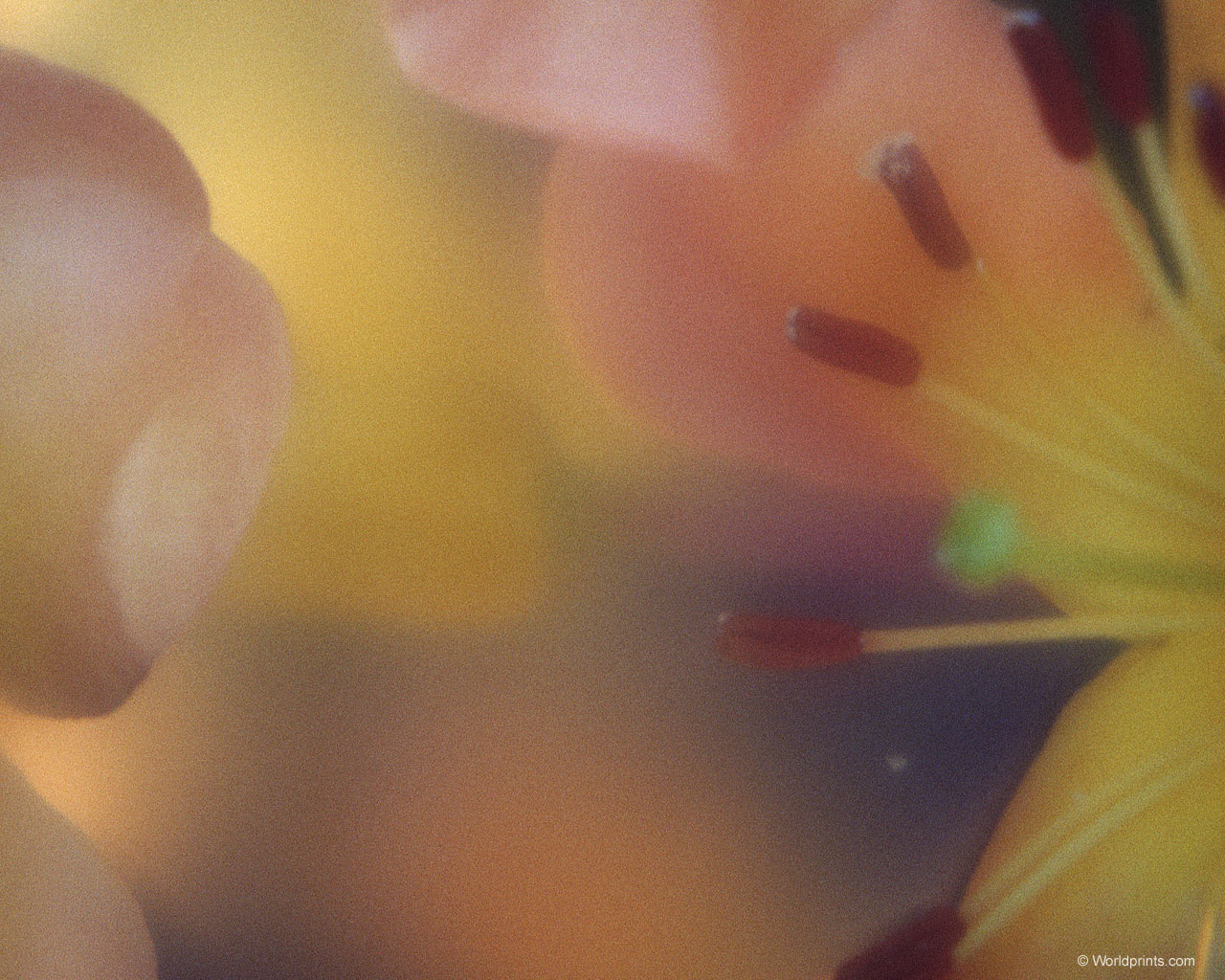 Готовимся к 8 марта