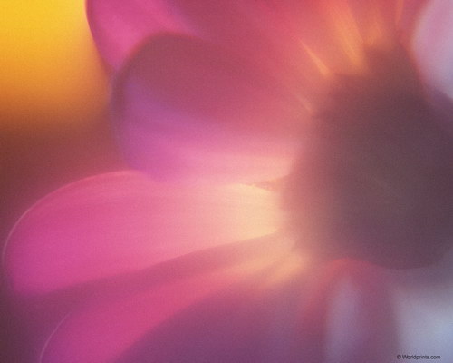 красивое фото на рабочий стол