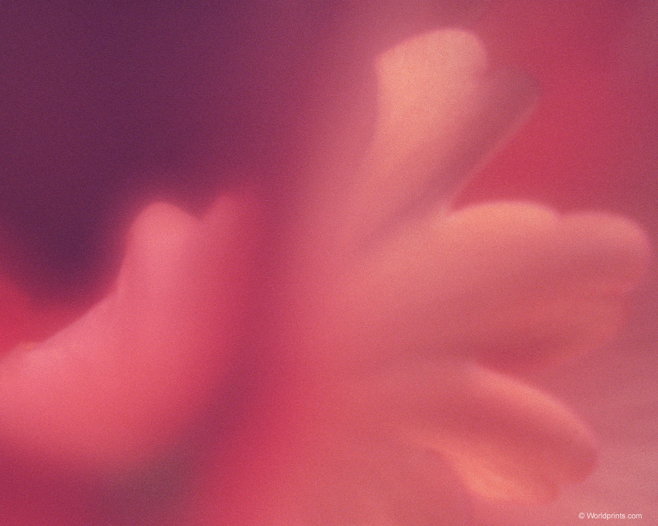 Готовимся к 8 марта