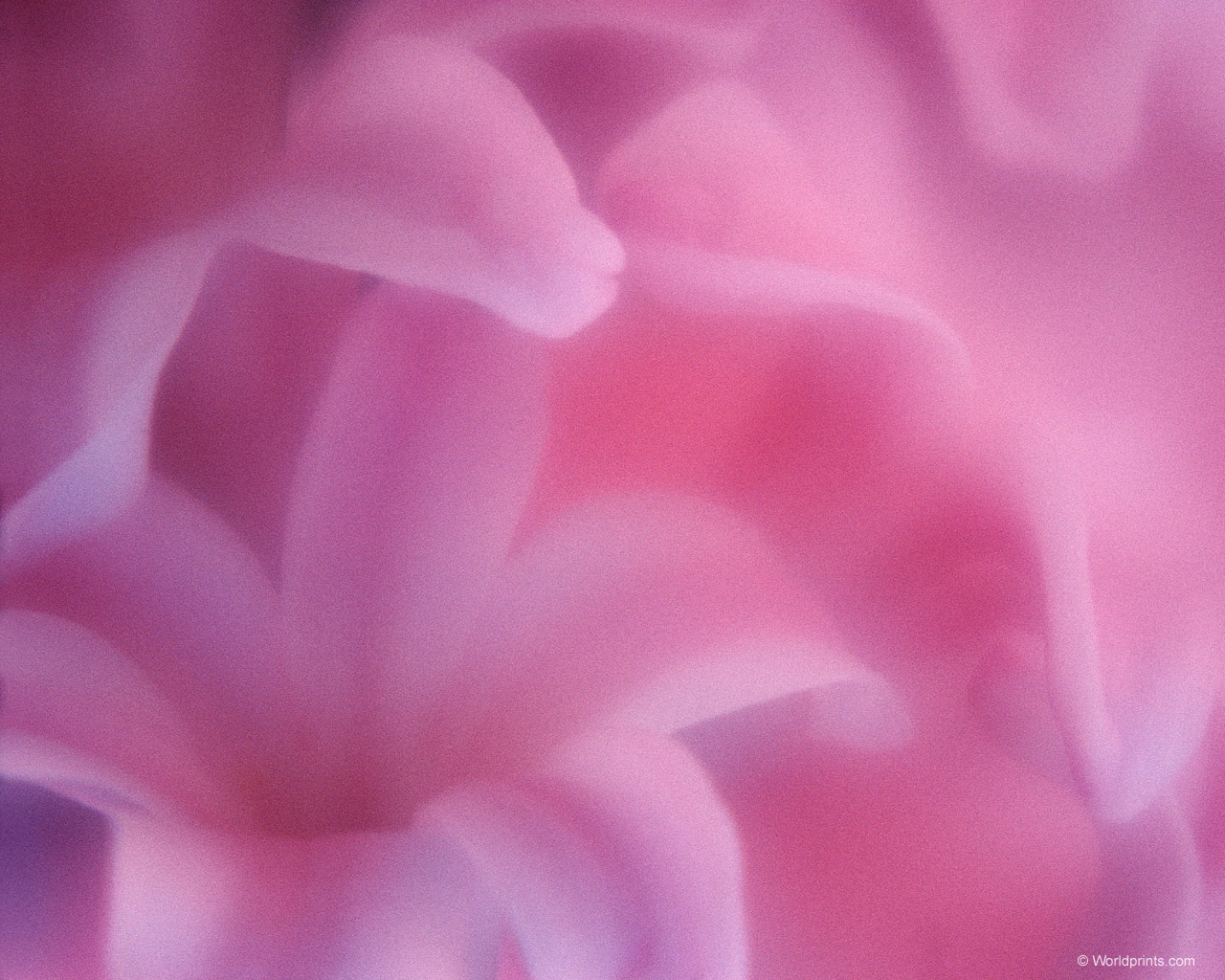 Готовимся к 8 марта